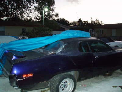 roadrunner 008.jpg