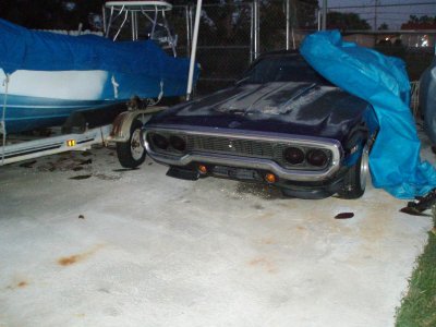 roadrunner 009.jpg