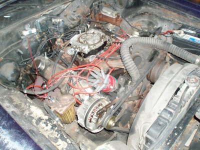roadrunner 010.jpg