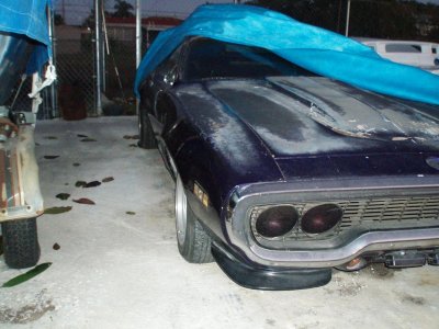 roadrunner 007.jpg