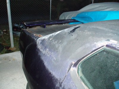 roadrunner 011.jpg