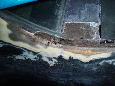 roadrunner 004.jpg