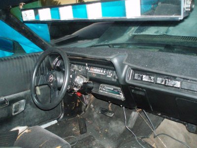 roadrunner 012.jpg
