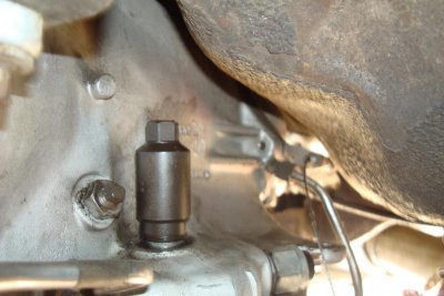 DSC03016.jpg DSC03016.jpg