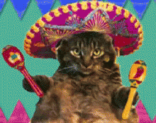 mexican-sombrero.gif