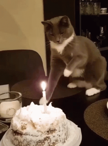 birthday-cake-happy-birthday.gif