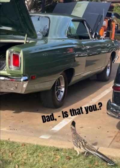 Road Runner Dad.jpg