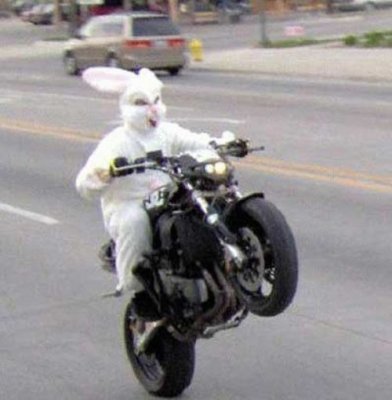 funny-easter-gallery-12.jpg