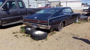 dsfgdgfgdfg.jpg dsfgdgfgdfg.jpg