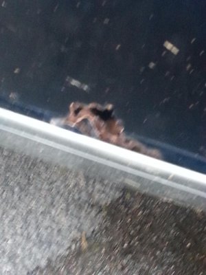 20150404_193606 (2).jpg