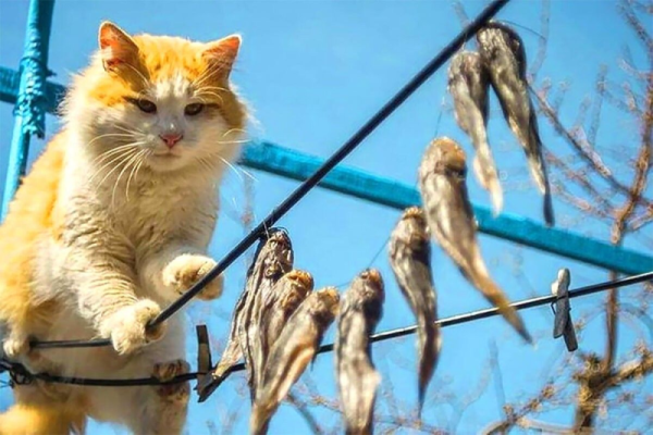 1771101907152.png 1771101907152.png