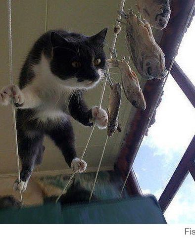 1771101938934.png 1771101938934.png