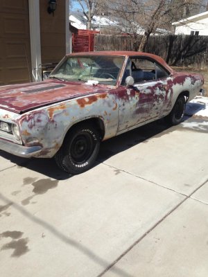 IMG_0377.jpg IMG_0377.jpg