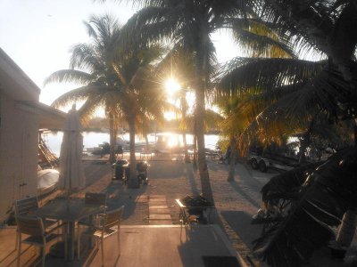 NCM_0825.jpg