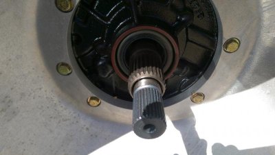 IMAG0310.jpg