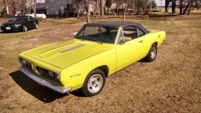 cuda outside 001.jpg