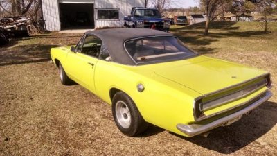 cuda outside 002.jpg