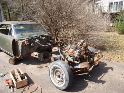 P4123597.jpg P4123597.jpg