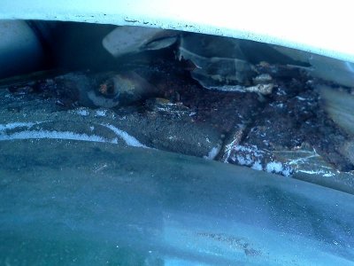 IMG_20150418_123907.jpg IMG_20150418_123907.jpg