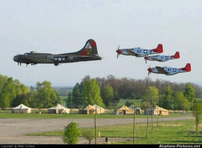 In Trail with Chicks.jpg