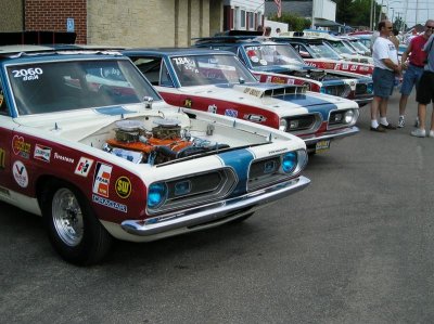 P7290116.jpg P7290116.jpg