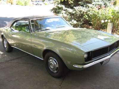 Camaro Pics 020.jpg