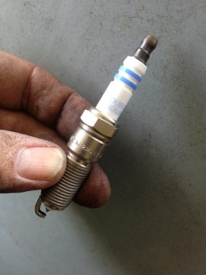 IMG_0305.jpg IMG_0305.jpg