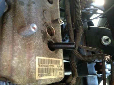 IMG_4528.jpg IMG_4528.jpg