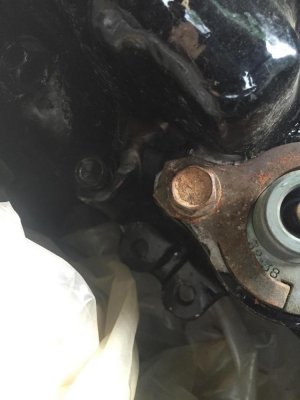 IMG951079.jpg IMG951079.jpg