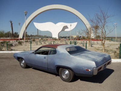 DSC00051.jpg DSC00051.jpg