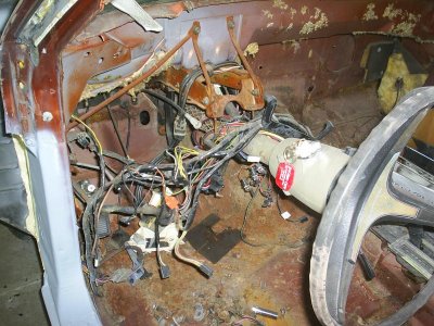 S4010965.jpg S4010965.jpg