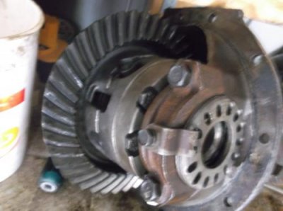 suregrip 3.jpg