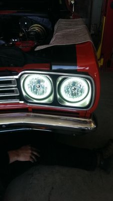 IMAG4699.jpg IMAG4699.jpg