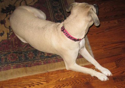 IMG_0501.jpg IMG_0501.jpg