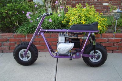 Taco 44 Mini Bike #1.jpg