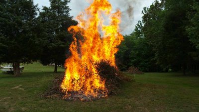 Brushburn03.jpg