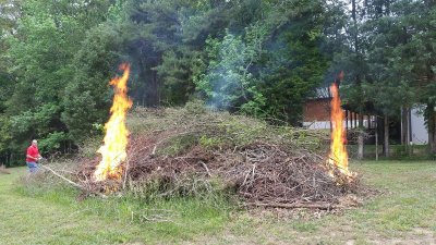 Brushburn01.jpg