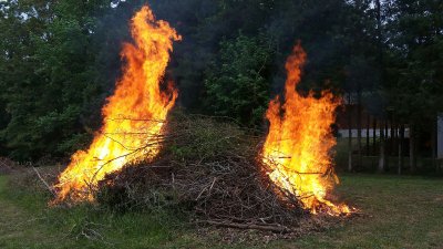 Brushburn02.jpg