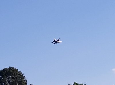 sm_fighter02.jpg
