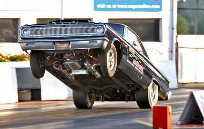 OYSTER BAY1010BIG WHEELIEBIG WHEELIE.JPG