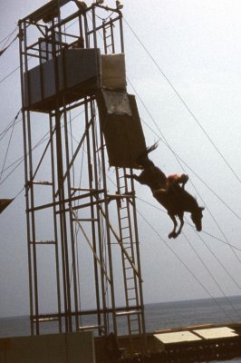 Diving Horse.jpg