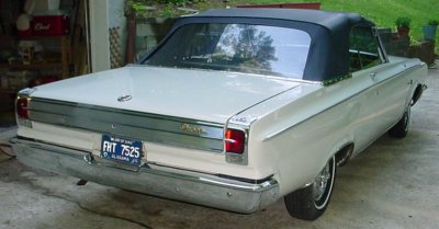 right rear (Medium).jpg