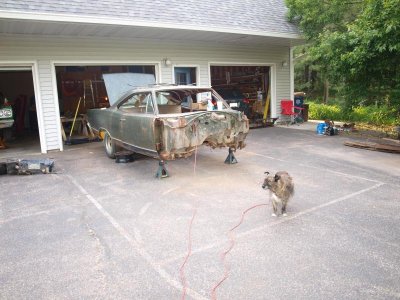 P6033707.jpg P6033707.jpg