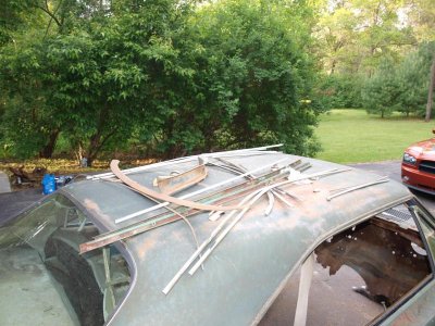 P6033715.jpg P6033715.jpg