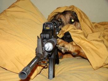 sniper 2.jpg
