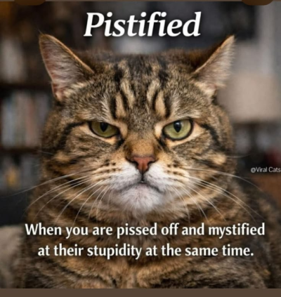 1785217551541.png