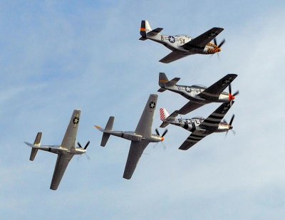 GATHERING OF MUSTANGS1.jpg