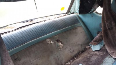 20150322_103401.jpg 20150322_103401.jpg