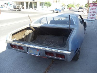 soild trunk floor.jpg