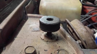 20150620_102829 (Large).jpg